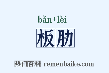 板肋是什么意思的图片